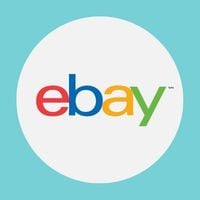Do eBay’s New Shop Features Boost Sales?